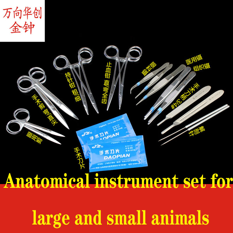 Golden Bell planing surgical i - Medical Lab Units 评论和价格