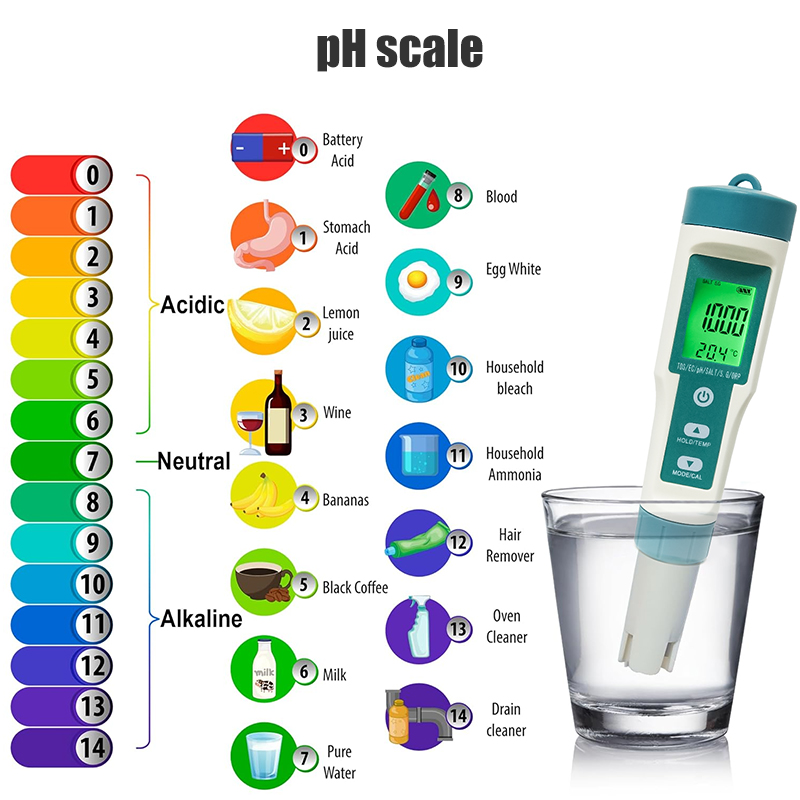 WESTTUNE Digital PH Meter 7 In - Ph Meter 评论和价格