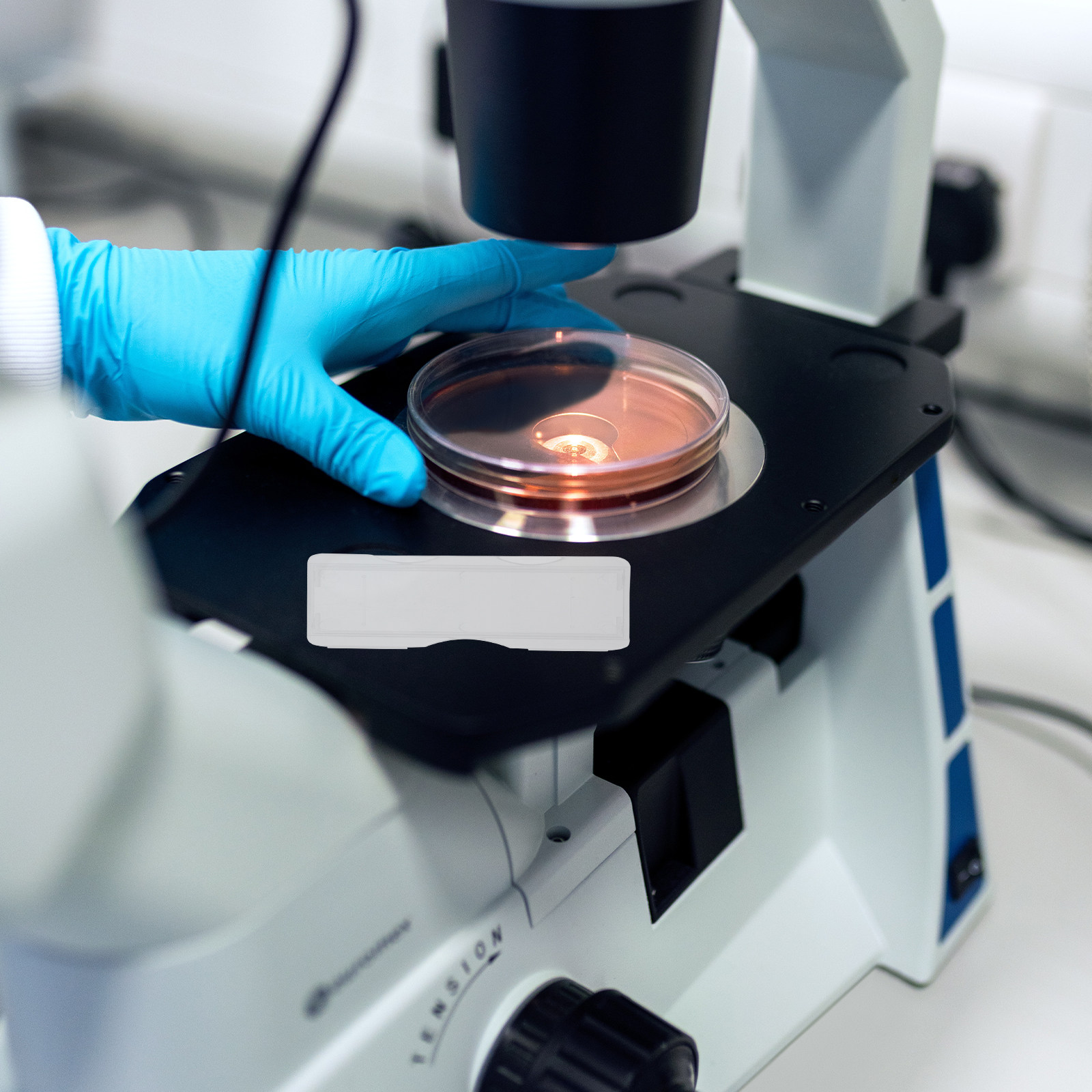 100Pcs Plastic Microscope Slid - Pathology Slide Storage 评论和价格
