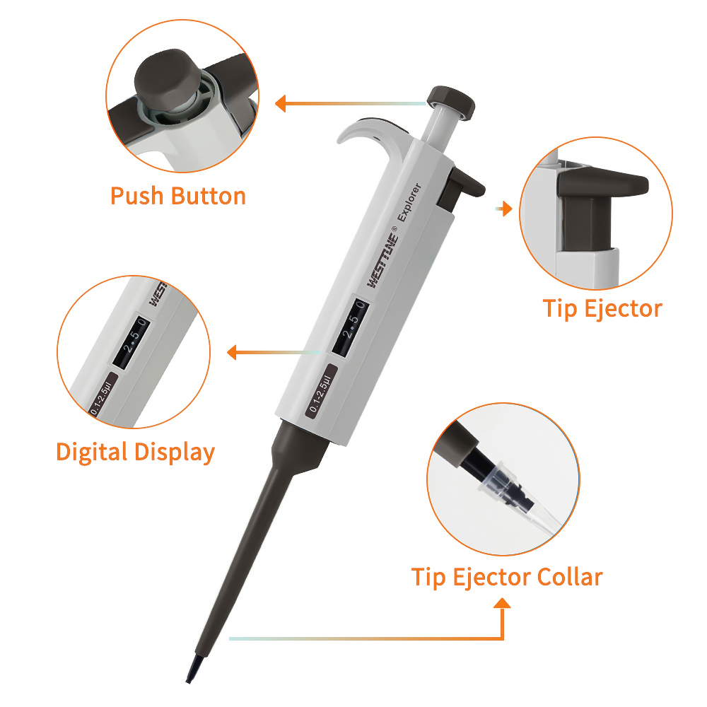 WESTTUNE Laboratory Pipette Ad - Medical Laboratory Scientist 评论和价格