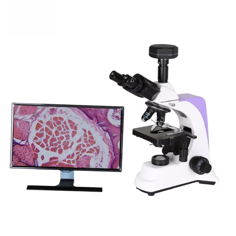 2026 Medical Lab Digital Biolo - Medical Laboratory Scientist 评论和价格