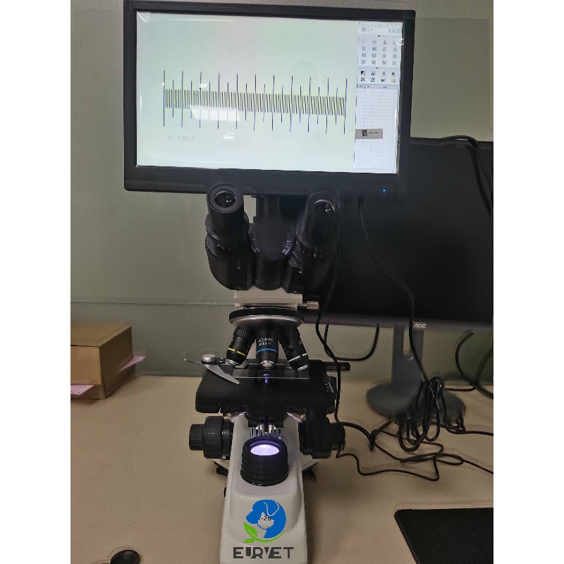 2026 Medical Lab Digital Biolo - Medical Laboratory Scientist 评论和价格